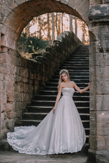One enchanted evening a fairy godmother transformed a gown into a work of art. This A-line gown features scrollwork inspired-by the intricate details of Cinderellas magic carriage, while sparkling diamond tulle twinkles in the light.