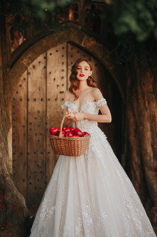 DISNEY FAIRY TALE WEDDINGS COL 0140253
