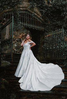 DISNEY FAIRY TALE WEDDINGS COL 0140261