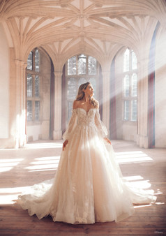 DISNEY FAIRY TALE WEDDINGS COL 0141091