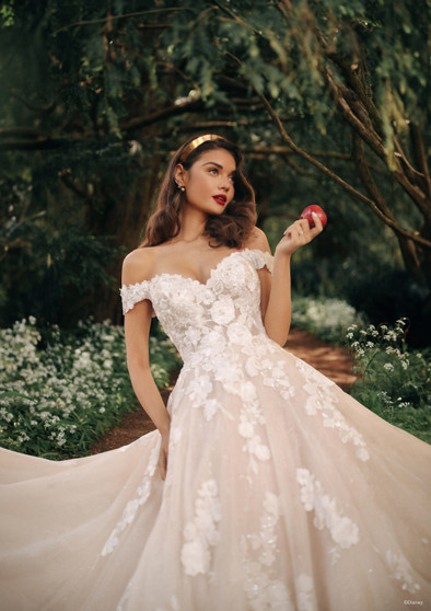 DISNEY FAIRY TALE WEDDINGS COL 0142266